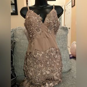 Nude mesh dress (Windsor) New